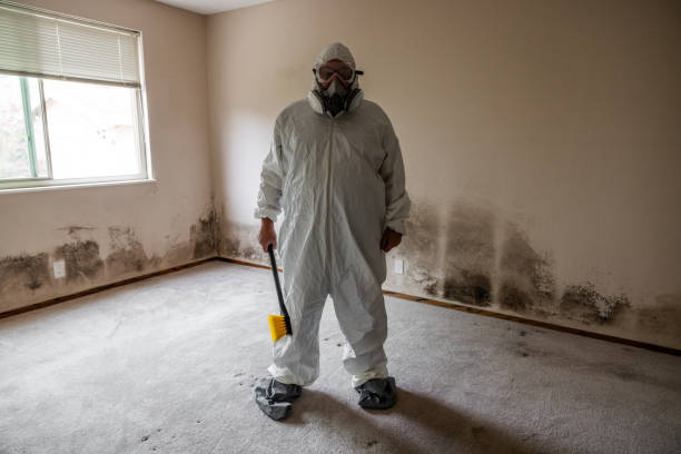 Long Beach, WA Mold Remediation Company